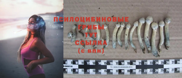 мяу мяу кристалл Заводоуковск