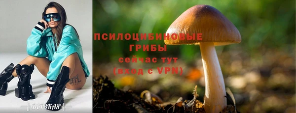мяу мяу кристалл Заводоуковск