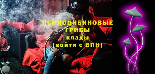 молекула духа Зеленокумск